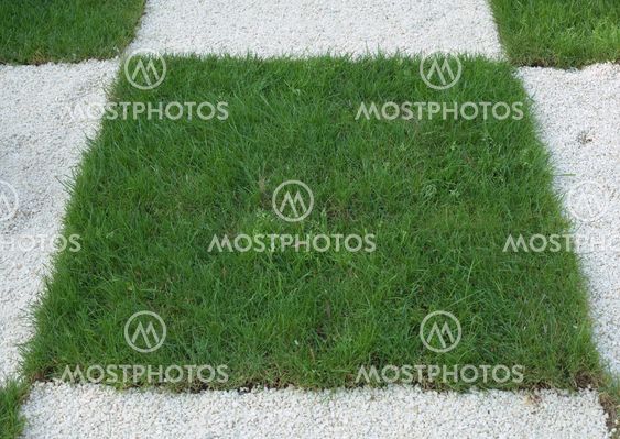 Checkered Grass
