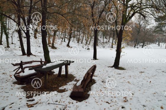 Winter in Park