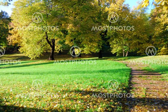 Autumn morning