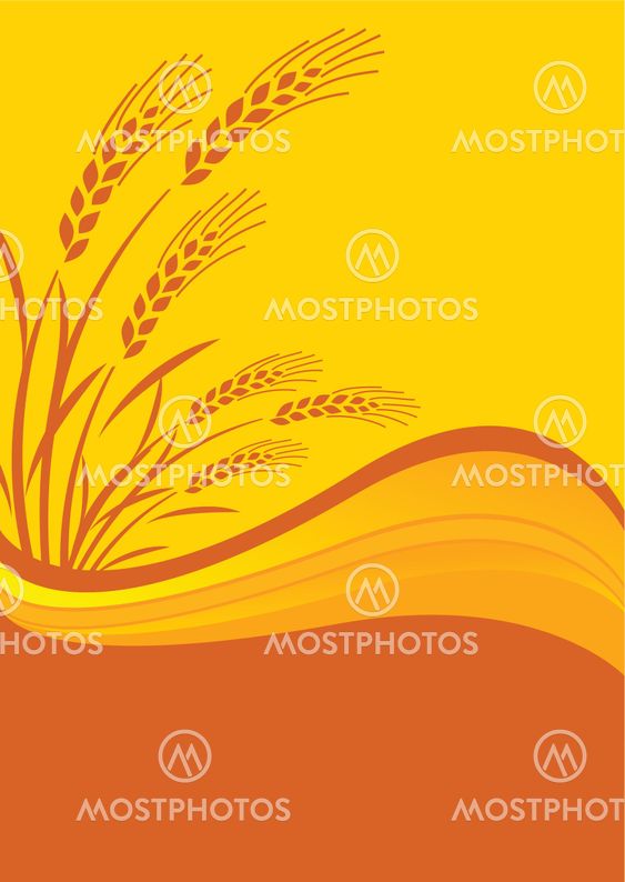 Background with cereal crop