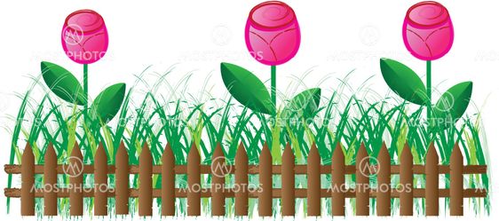 Grass of frame