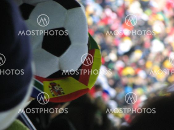 FIFA World Cup 2010 supporter