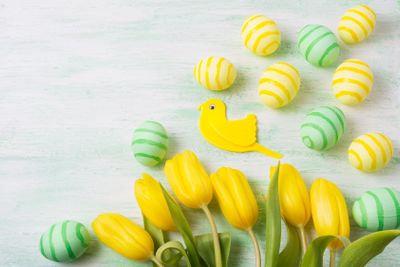 Easter green and yellow eggs, tulips and bird