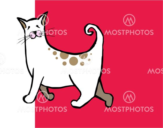 Cute cat with curly tail on red and white background