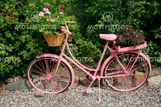 Garden decoration