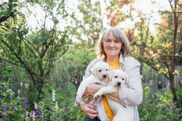Close-up of two cute puppies in female hands. A mature...