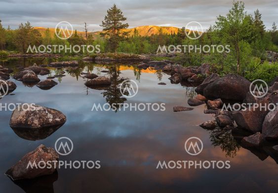 Landscape over small lake in forest