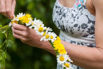 Weaving a wreath of flowers for midsummer
