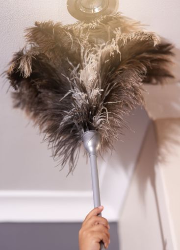 Feather duster, hand of person cleaning and hygiene for...