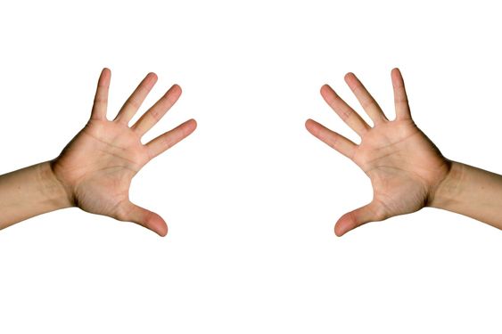 Åben palm hånd