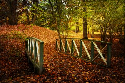Bridge to autumn.