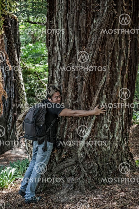 Young man hugging a big pine tree in the forest