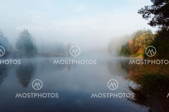 Morning mist