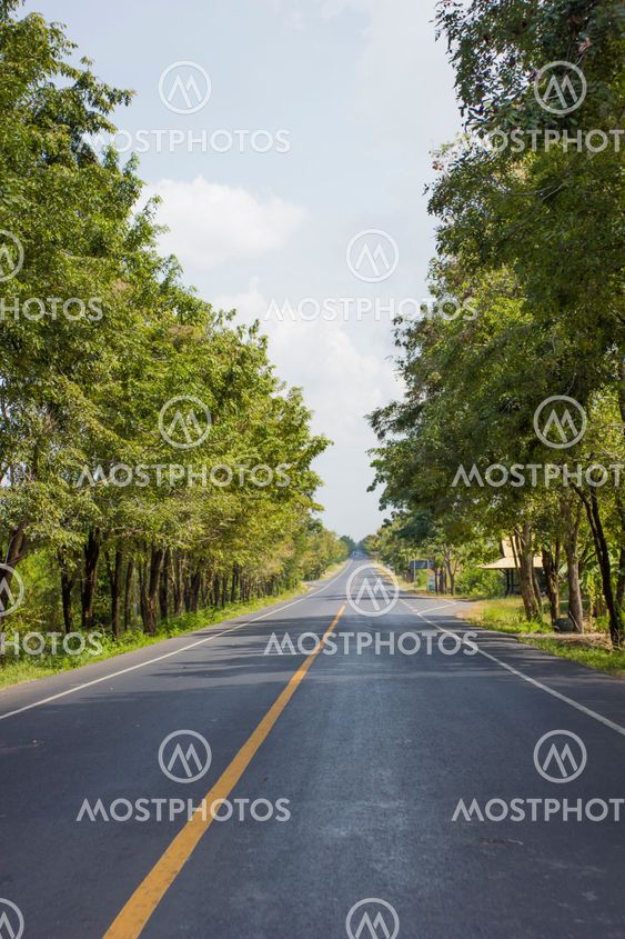 Road connectivity between cities
