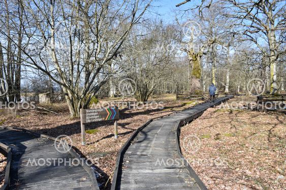 Vandringsleder i Halltorps Hage på Öland