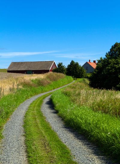 Sommarmotiv från skåne 1