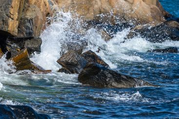 Waves crashing against rocky cliff on a summer day.