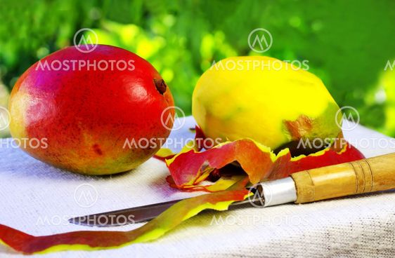 Two mangoes fruits and knife.