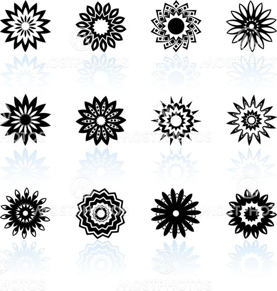 floral design collection