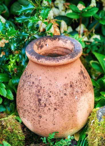 Pot, jar and leaves with garden design for decor,...