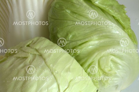 fresh salad