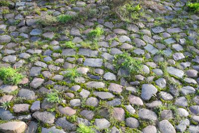 Carriageway in autumn