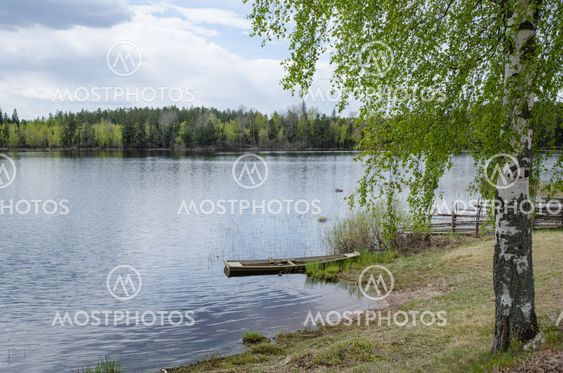 Serene lake view