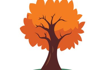 Natural Orange Tree in Forest in Autumn Fall Season