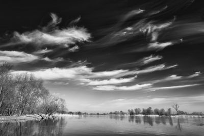 Wild hunt across the river Oder