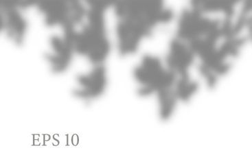 Transparent natural plant shadow. Light effect overlay....