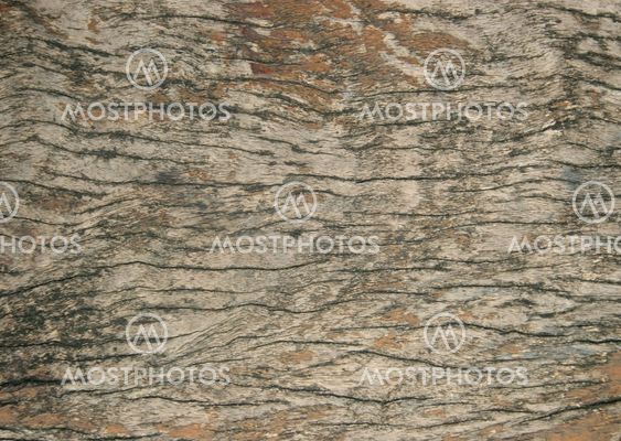 wood texture for background