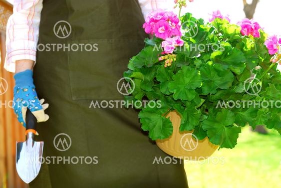 Gardening