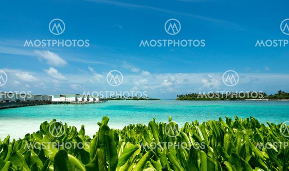 Perfect tropical island paradise beach