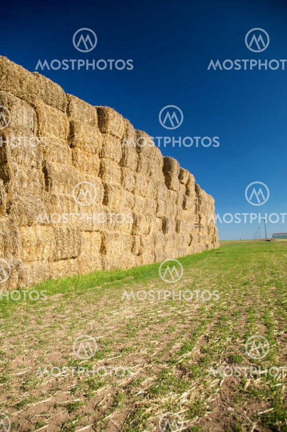 pile of hay