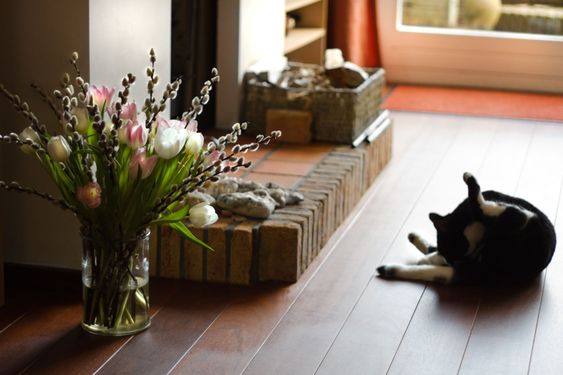Fireplace with cat and springflowers