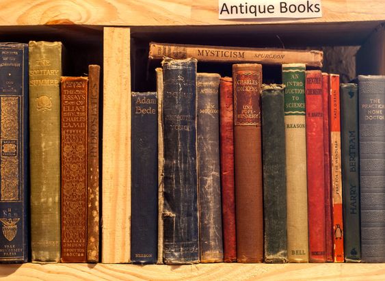 Second-hand bookstore shelf