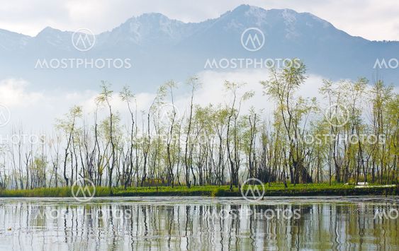 Water village,View point from Srinagar