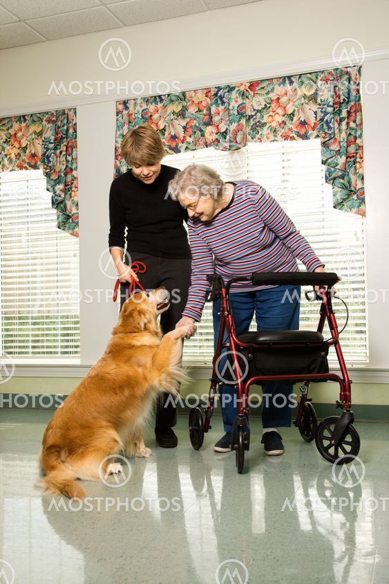 Elderly woman with therapy dog.