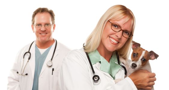 Female Veterinarian Doctors with Small Puppy