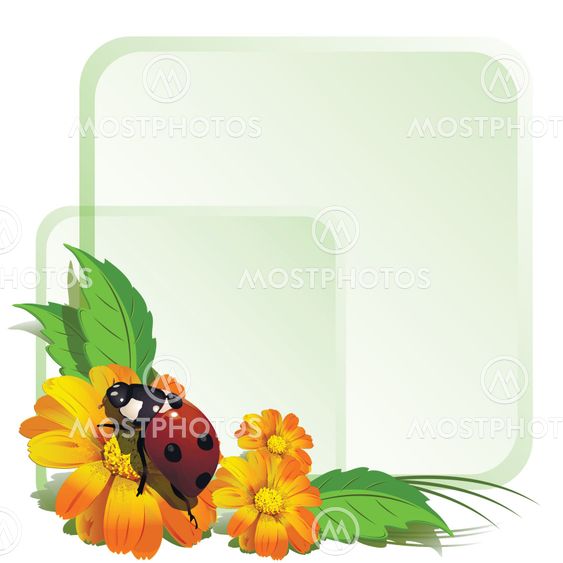 Ladybird and flowers