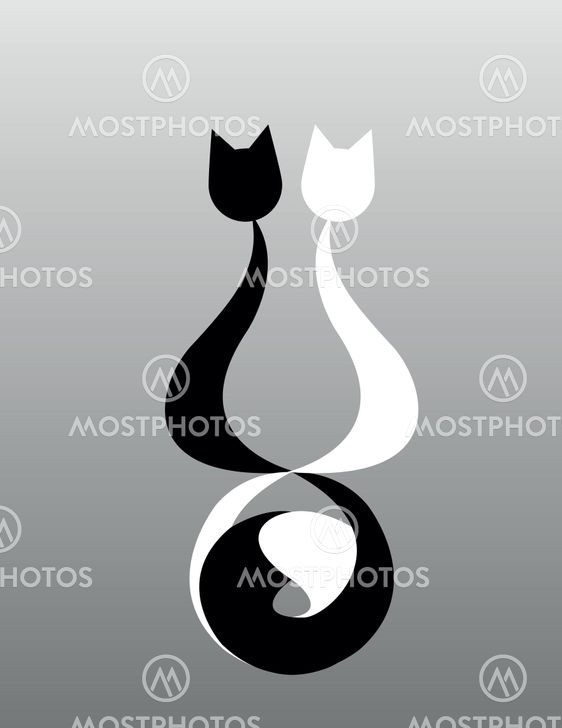 Koble katte