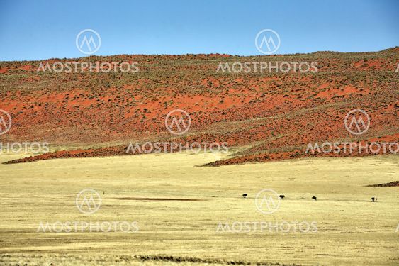 namibrand nature reserve in the namib naukluft national park namibia africa