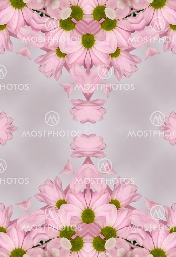 flowers , visual effect of a mirror,abstract color...