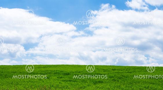 Sommarlandskap i skåne