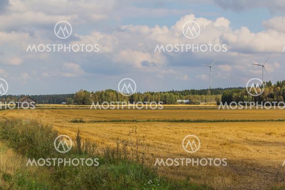 Country