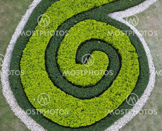 grass bed in the form of a snail