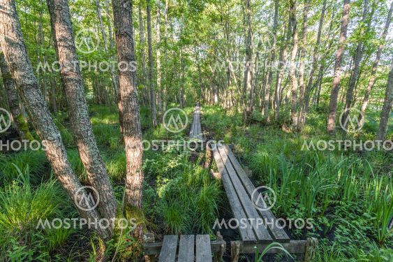 Bornsjöns naturreservat