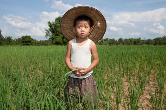Child of Thailand in the ri\