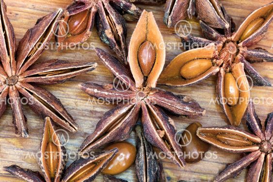 dried anise seeds