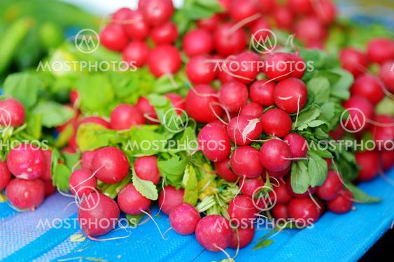 Bunches of radish sold on farmer's market